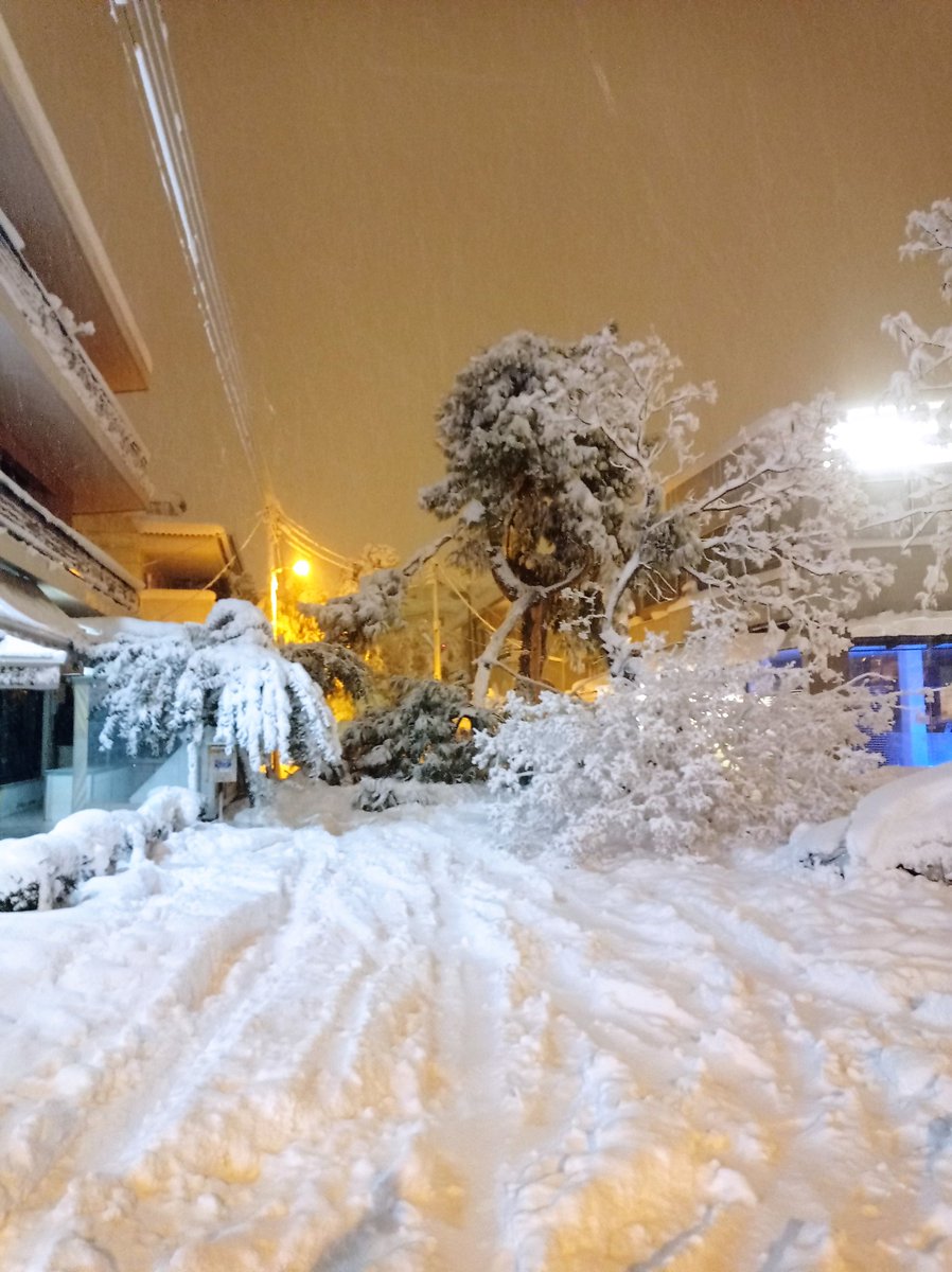basiliouc's tweet image. Χαλάνδρι #χιονια μέχρι το γόνατο, πέφτουν δέντρα θέλει μεγάλη προσοχή!