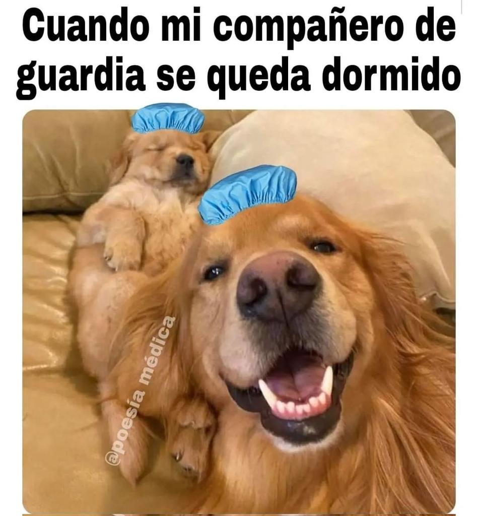 NiltonVi's tweet photo. #GUARDIA
#GUARDIAPESADA
#MEDICINA 
#ENFERMERÍA https://t.co/iunegLZK61