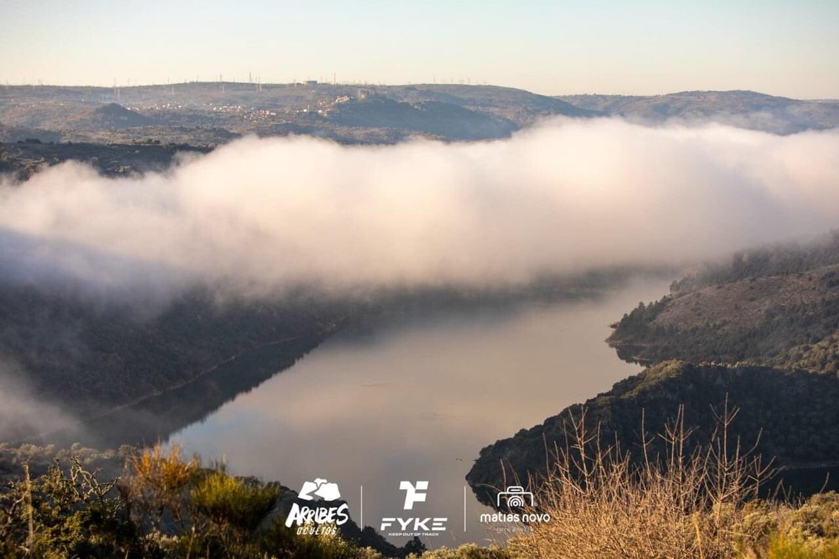 arribesocultos's tweet photo. "Nos hemos dado cuenta que no pretendíamos volver a veros, solo queríamos veros volver"
Un millón de gracias por llenar nuestros pueblos de sueños...
#ArribesExperience #arribesdelduero #Zamora #Fermoselle #pinilladefermoselle #zamoraenamora #Sayago https://t.co/JIb71MbXKD