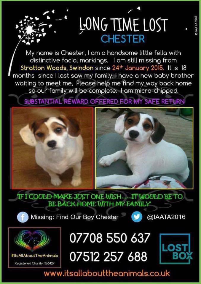 LisaLisaw1's tweet photo. Where are you Chester π #MissingSevenYears π #HelpFindChester #MissingDog 24.01.15 #StrattonWoods #Swindon #Wiltshire #scanme #CheckThatChip #longtermmissing πππππππ This is where Chester should beβ¦ https://t.co/Qjxk7nW2DC