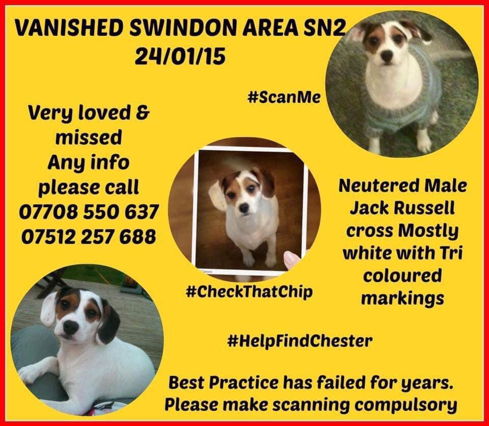 LisaLisaw1's tweet photo. Where are you Chester π #MissingSevenYears π #HelpFindChester #MissingDog 24.01.15 #StrattonWoods #Swindon #Wiltshire #scanme #CheckThatChip #longtermmissing πππππππ This is where Chester should beβ¦ https://t.co/tonqyzJL2j