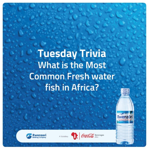 RwenzoriUg's tweet photo. Think you know all about Fresh?
What is the Most Common Fresh water fish in Africa?
#Naturally #TrivaTuesday #TransformToFullPotential https://t.co/GKRYyqaVsI