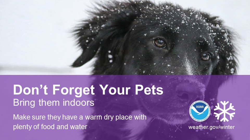 Overnight temperatures as low as -30 are expected tonight across the Upper Midwest.  Always make sure that pets/livestock have a place to be warm and dry.  

#Brrr