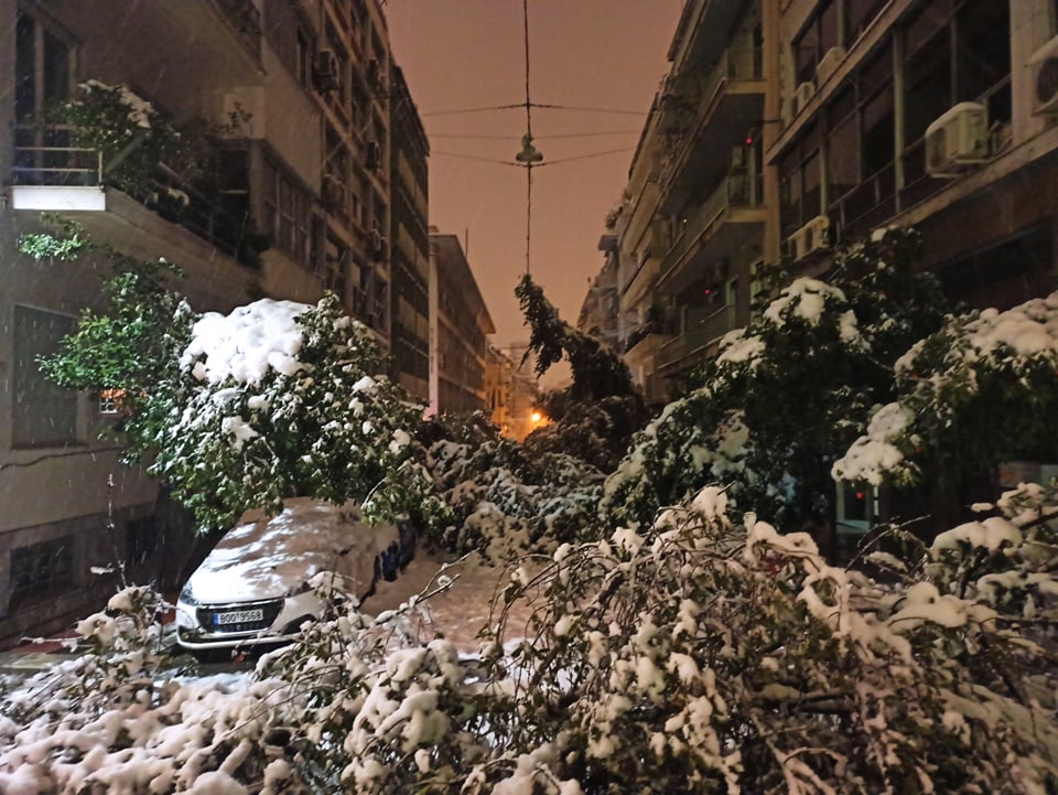 menoume_energoi's tweet photo. Φωτογραφία από οδό Ναυαρίνου στο κέντρο της Αθήνας. Τα ίδια και σε Ιπποκράτους και Χαριλάου Τρικούπη. Καταγγελίες για πεσμένα δέντρα σε όλα τα μήκη και τα πλάτη της πρωτεύουσας. Καμία μέριμνα για κλαδέματα τις προηγούμενες ημέρες εν όψει κακοκαιρίας. #χιονια #κακοκαιρια https://t.co/x3wPV1ZsHv