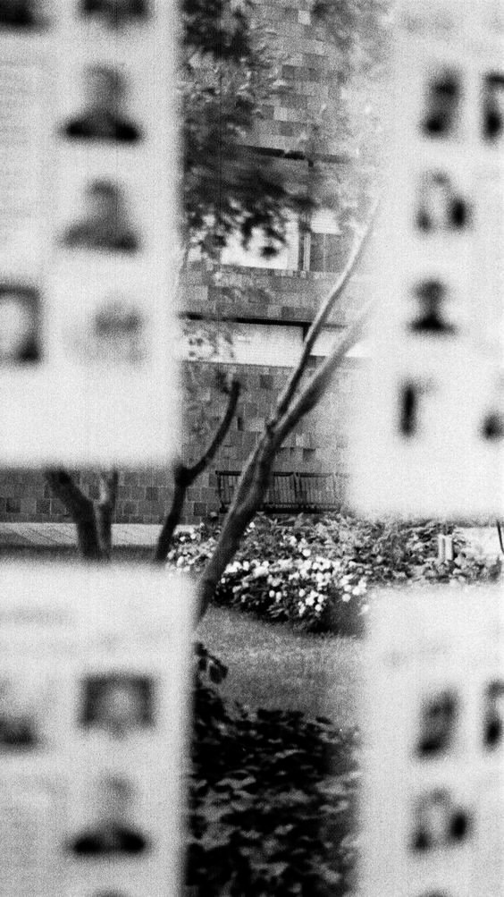 📷Lee Friedlander.