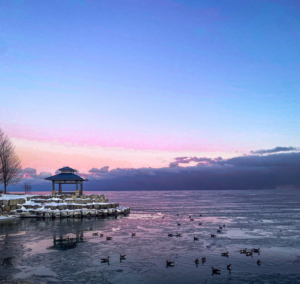 Portcreditbia's tweet photo. Explore beautyIN The Port.
Tag us @portcreditbia in your pictures of the stunning aesthetic that Port Credit has to offer.
Share what draws you to Port Credit below! ⬇️
#tourismmississauga #beautyINThePort #beautyIN #portcredit #portcreditbia #visitportcredit
@visitsauga https://t.co/bMJpKASQnR