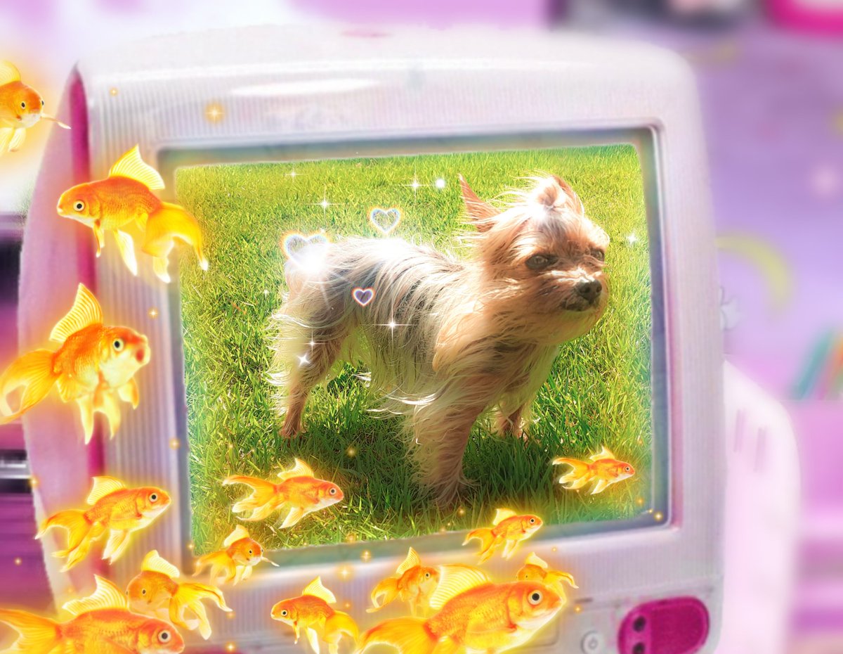 Spothyo's tweet image. no thoughts head empty only