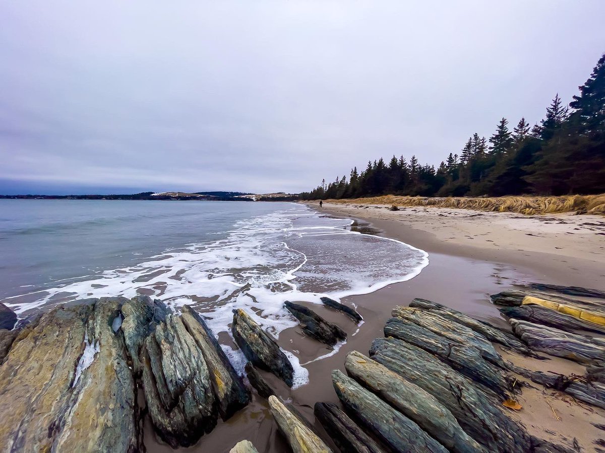 Suzy The Explorer tweet media