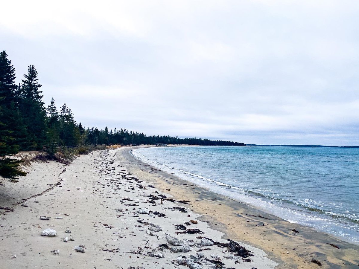 This weekend we drove down to Rissers Beach. It was absolutely beautiful. There were huge ice chunks on the beach which was neat. We walked back on the board walk. Even though it was very chilly and a bit slippery in areas it was a great walk.