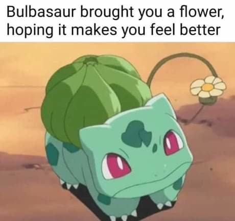 WholesomeMeme's tweet photo. https://t.co/wPb5xokpDk
