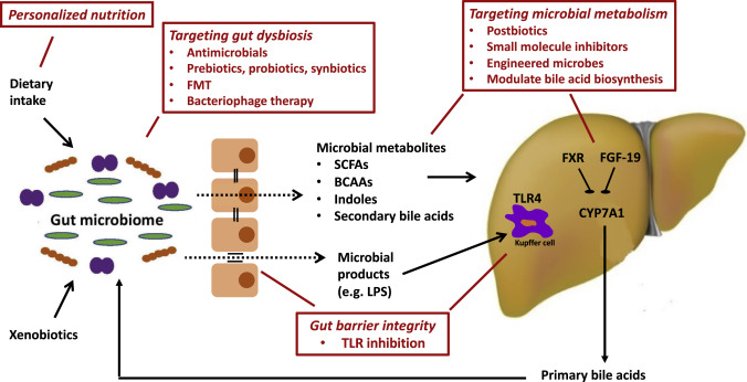 Cell_Metabolism's tweet photo. This Perspective discussed our understanding of the gut-liver axis in nonalcoholic fatty liver disease (NAFLD)
https://t.co/sfvHtPw0VL
#openaccess #1YearAgo @DrLoomba @KnightLabNews https://t.co/NCK3324pYL