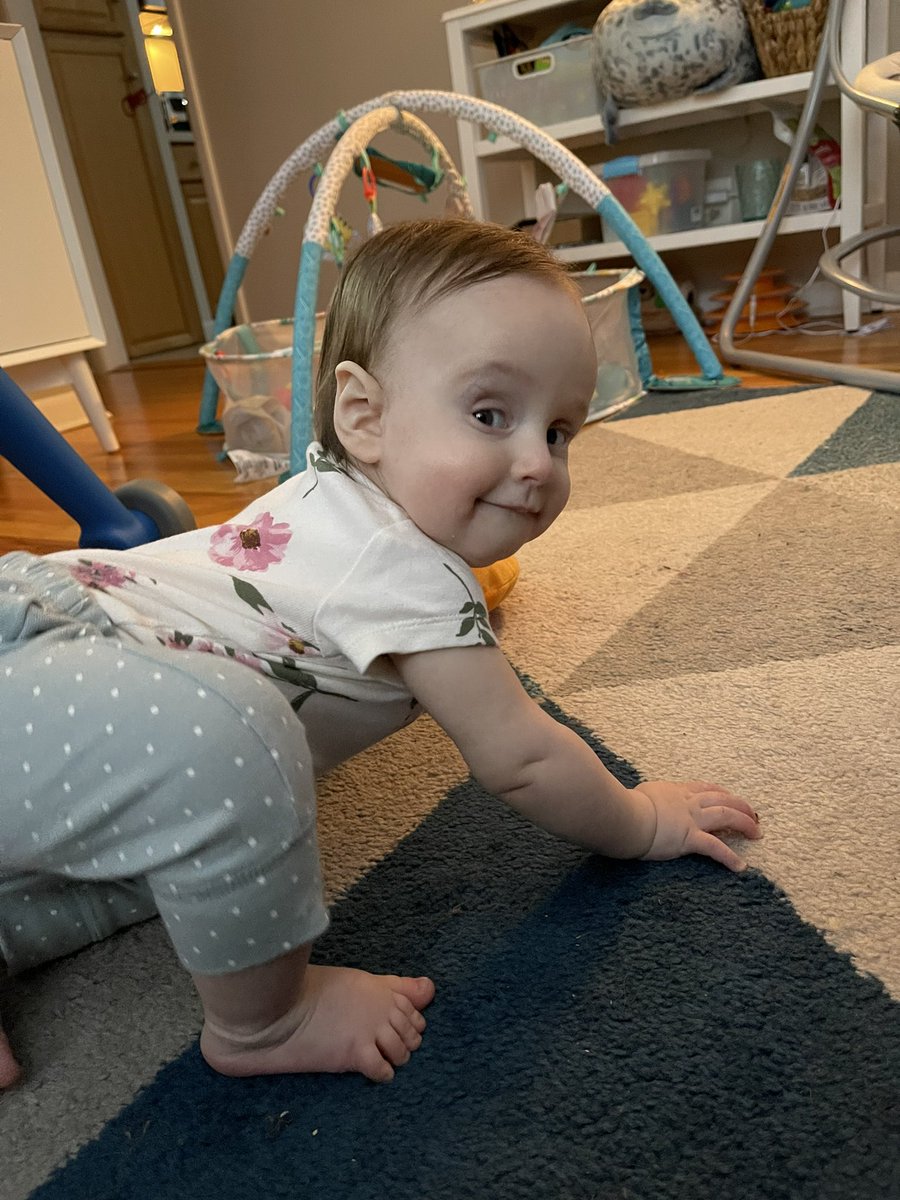 Professor Addy tweet media