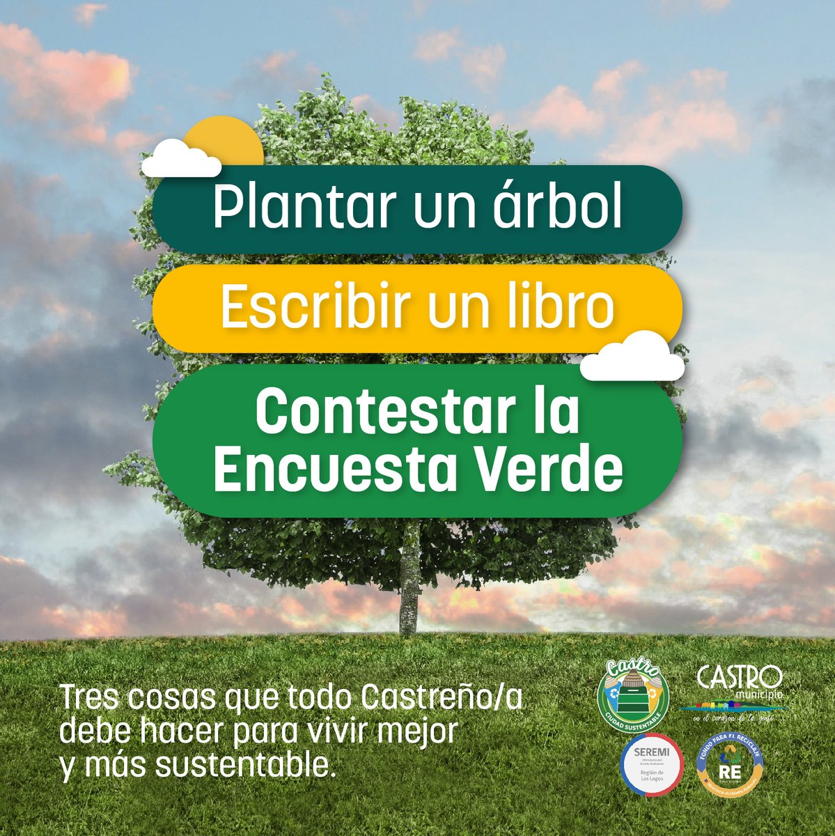 Castro Ciudad Sustentable tweet media