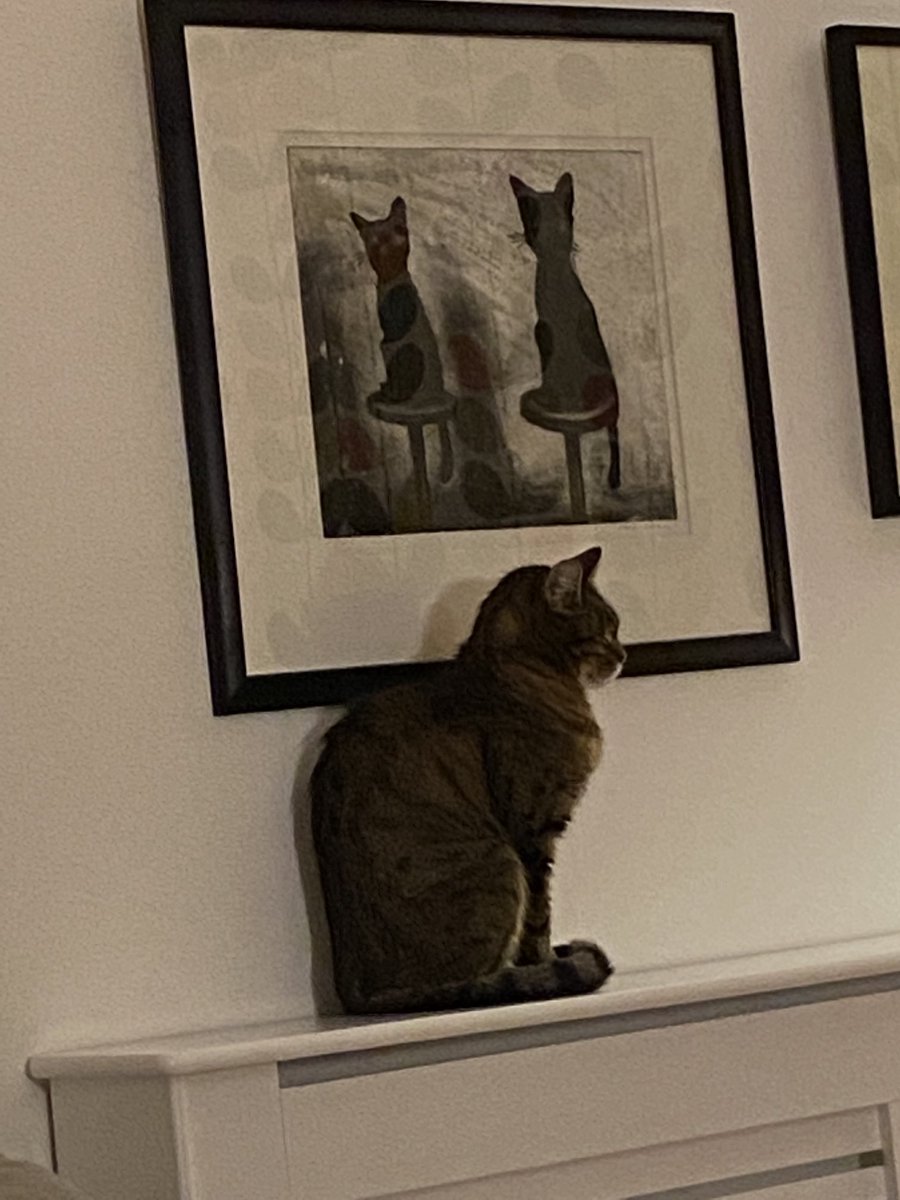Life imitating art. Mr Sullivan enjoying quality time with his feline friends. These by ⁦<a href="/ChrisSalmonArt/">Chris Salmon</a>⁩