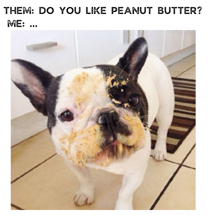 Next question… #NationalPeanutButterDay 

#SheepDogWhiskey #PeanutButterWhiskey #SpreadTheWord #peanutbutterlover #whiskey #memeoftheday #PB #cutedog #cuteaf #dogsofinstagram #frenchie #peanutbutteraddict #peanutbutterislife