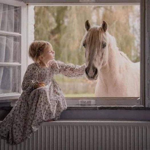 #صورة_ملف_شخصي_جديدة