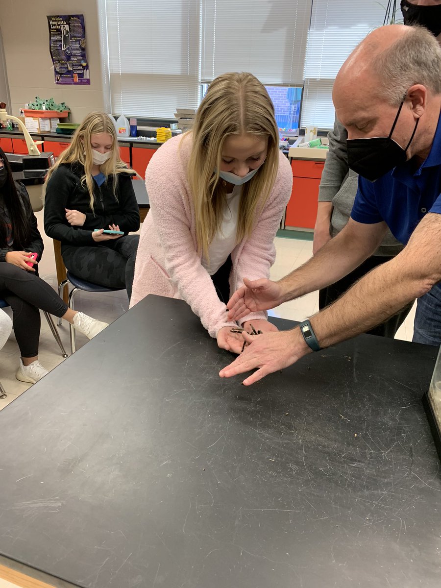 Maria Knowles tweet media