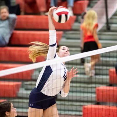 Louis Birch tweet media