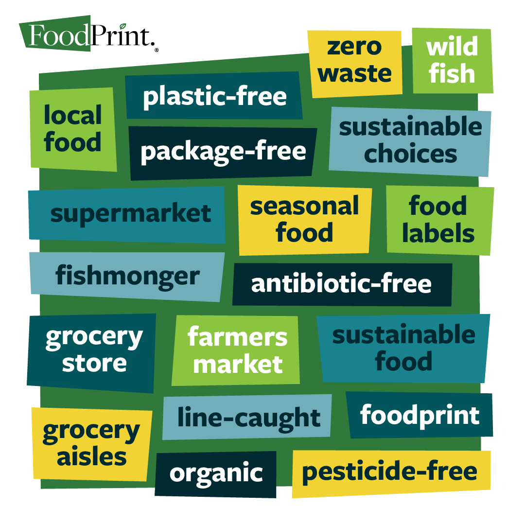 foodprintorg's tweet photo. We're almost done with the #ReduceYourFoodprint challenge, finish strong! Today we’re thinking about shopping #sustainably by asking grocery stores &amp; coffee shops to carry more sustainable options &amp; use less packaging: https://t.co/MJGDRTfTYO #NoSingleUsePlastic https://t.co/X68T2r0J0H