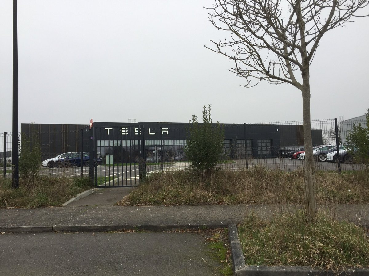 stephanusa tweet media