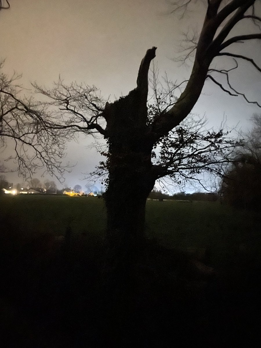 Norma Carr - Raising Vibrations tweet media