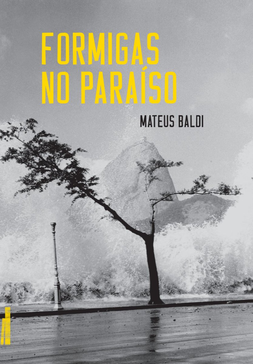 mateus baldi tweet media