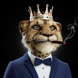 is a very good project, go join me in discrod :discord.gg/Rq6dHCcr <a href="/bigcats_nft/">Big Cats (Now 8Lives)</a>