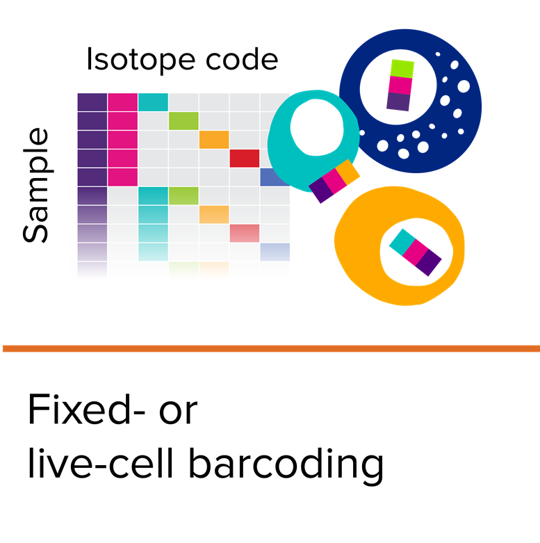 Standard_BioT's tweet photo. #Cellbarcoding makes sample #multiplexing easier. With #masscytometry, using isotopes and workflows that are compatible with existing panel designs means no extra work is needed to modify your panels or change antibodies and ensure quality results: https://t.co/Xk2nqFqVIf https://t.co/uZZ24PdfXF