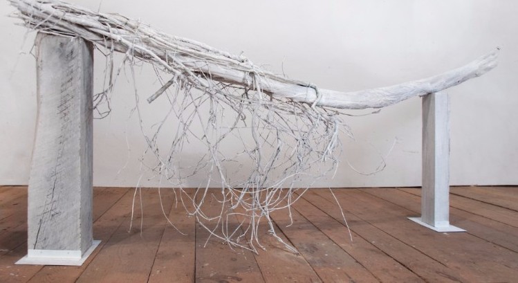 NancyAzara's tweet image. Join me Thurs. Jan. 27th at 3pm ET for TREE TALK - mailchi.mp/3c572569e4a8/j…