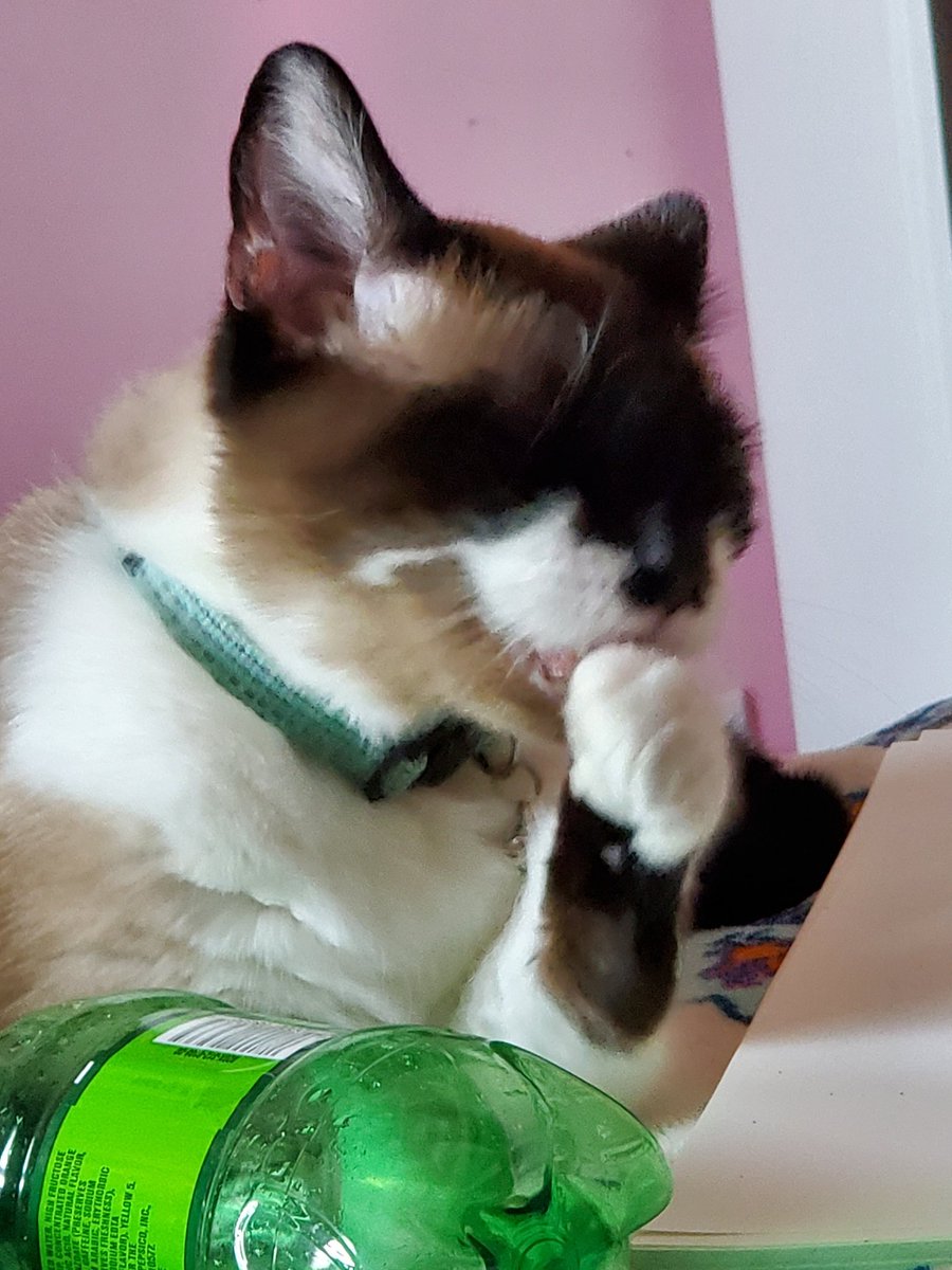 oh yeah it's hershel time