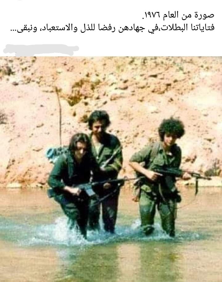 Bicho55578316's tweet photo. @ZeinElOmr و نبقى https://t.co/Ni38EhY9AL