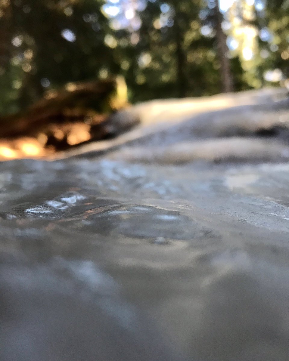 Chefonabike® tweet media