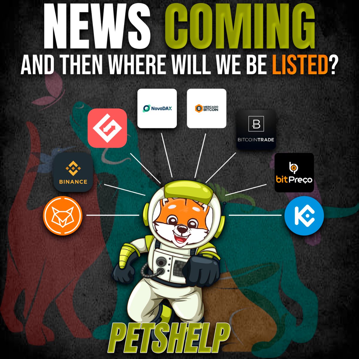 PetsHelp Coin tweet media