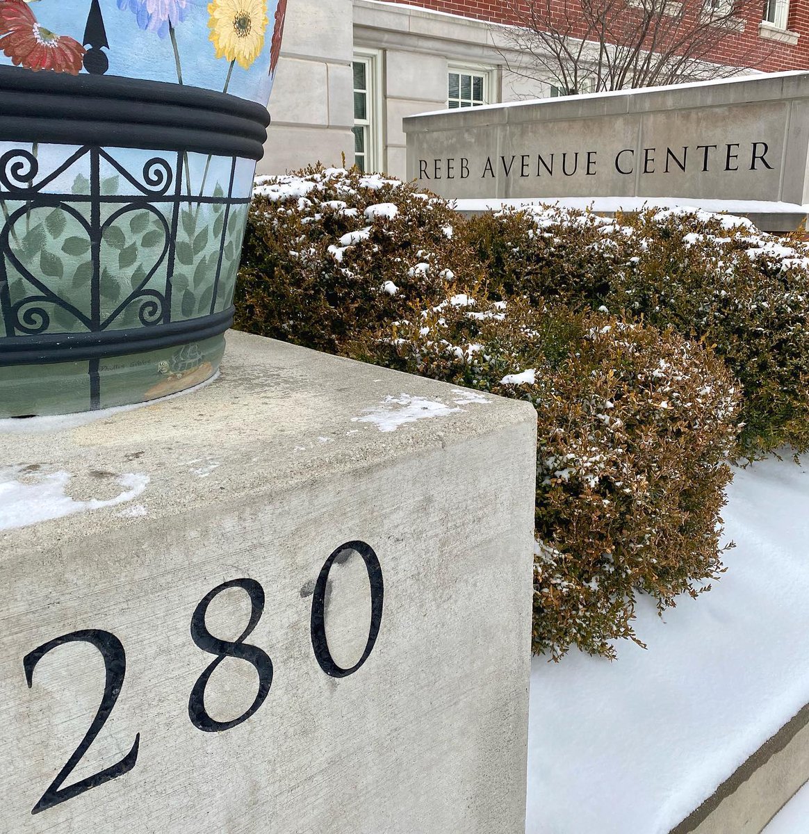 The Reeb Center tweet media