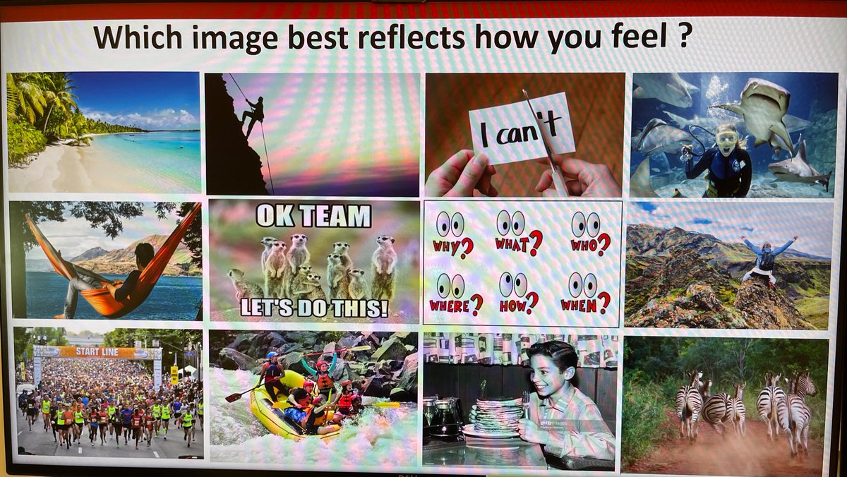 The Tako Lab tweet media