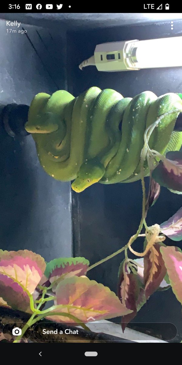 Curious Creatures LLC tweet media