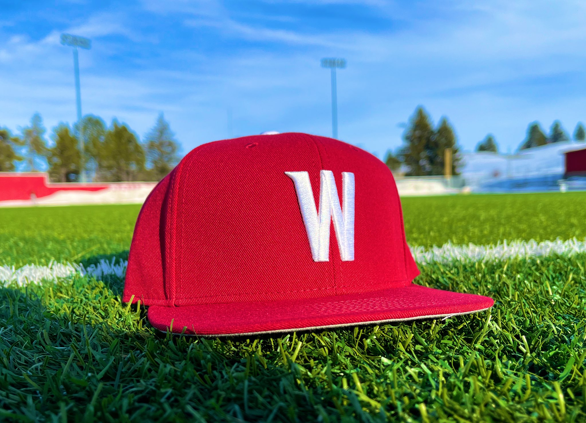 Wsu baseball best sale cap
