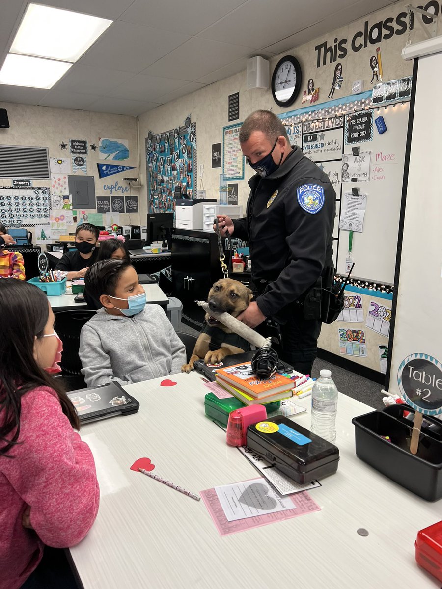 MrsGrajeda4's tweet photo. We had the best visitor today!! Thank you @VVUSDPDOfficer4 for bringing K9 Kodi! That was the best Monday surprise! @Columbia_VVUSD https://t.co/BuehbHqudK