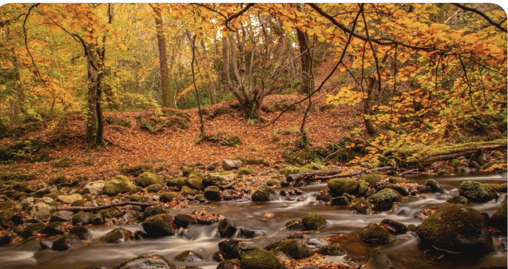BallybodenTT's tweet photo. #Enniskerry was easily transformed into a beautiful #Fairytale Village but will now become a Village of #Horrors with the arrival of #SHDs crazy densities & traffic 😱 & a real threat 2 #Knocksink #SAC
They need help - so 🙏 retweet this & checkout 👇
👉https://t.co/oEtByeaG9o https://t.co/vnWjIpjxcI