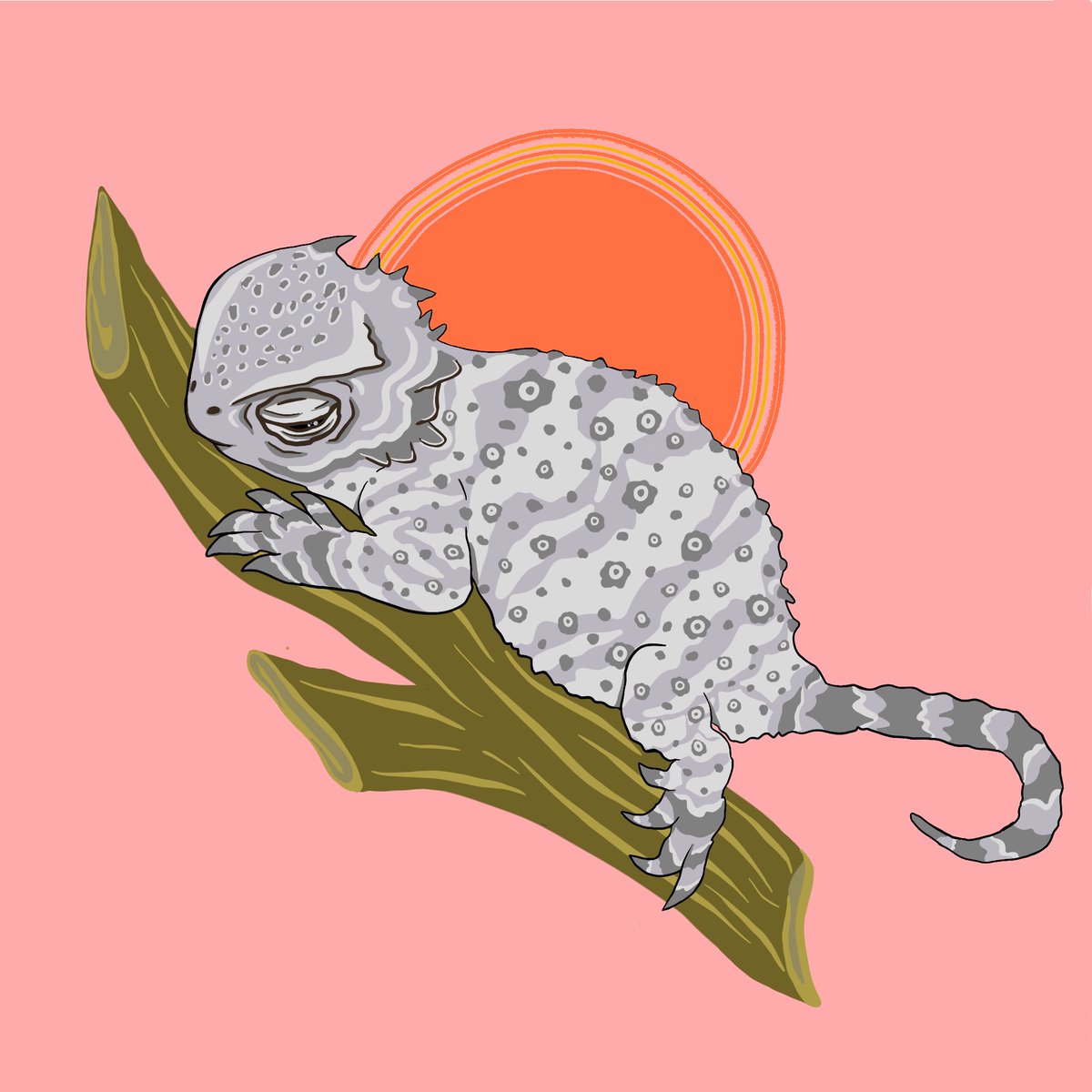 Ruby Solomon tweet media