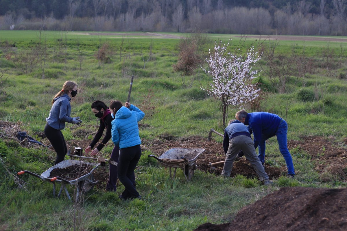 reforestaccion_'s tweet photo. NUESTRAS ACCIONES:

Repoblación de más de 300 olmos
libres de grafiosis y su posterior riego y cuidados. 
📍 Echarri/Etxarri https://t.co/uqostUZfCL