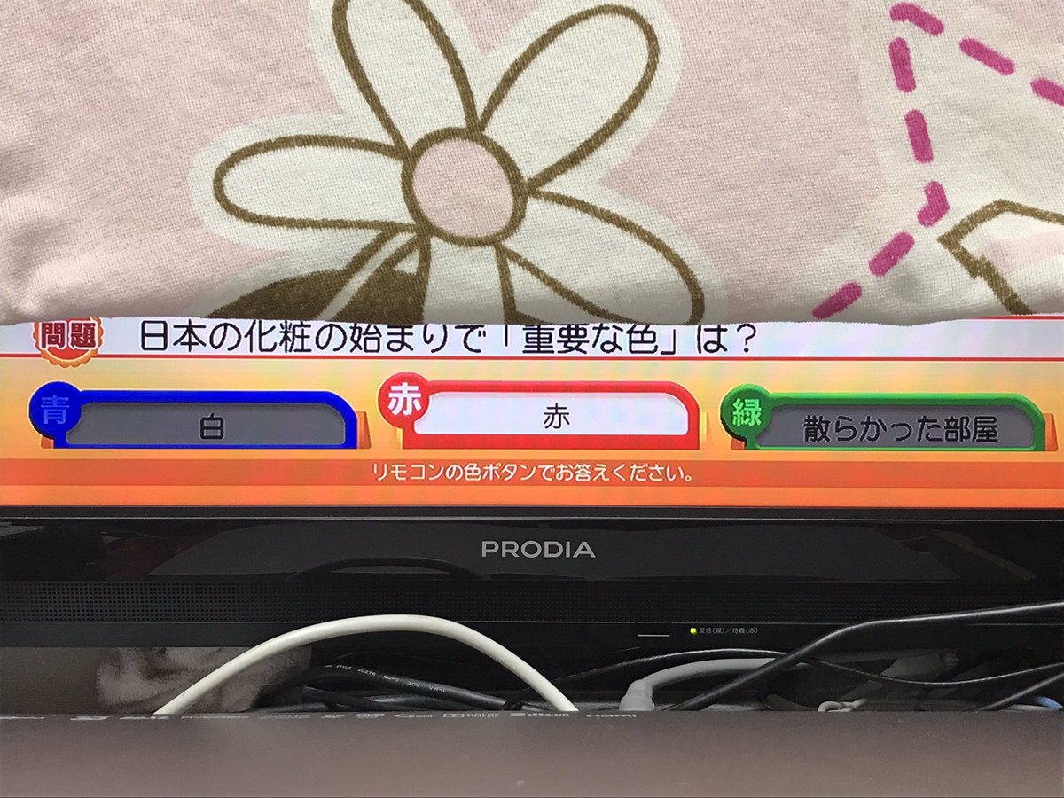 田川 結貴 V Twitter 昨日のことば検定の正解が 青 だったから 今日の ことば検定スマート 青は100 不正解 青が正解の確率は0 赤が正解の確率は100 緑が正解の確率は0 です 絶対青選んでも1ポイントしか入らないよ グッドモーニング ことば検定