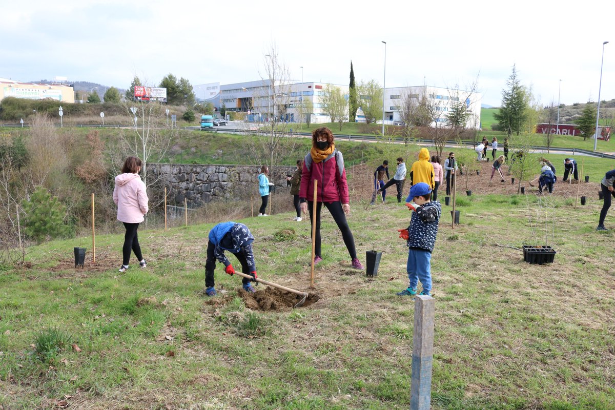 Plantación de 70 olmos libres de
grafiosis
📍Huarte/Uharte