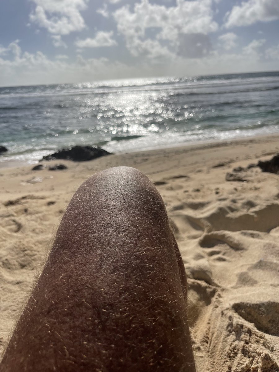 bobbyboyll's tweet photo. Enjoying the sun! https://t.co/FNI1k8rWJh
