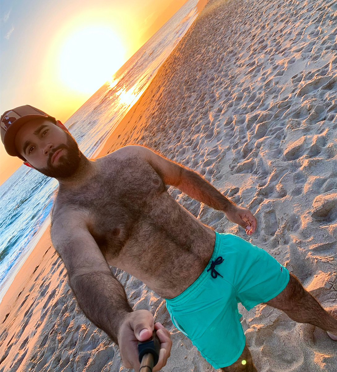 El Bearcito tweet media