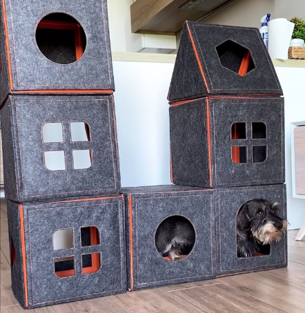 PurriniPlaymate's tweet photo. Although #Purrini's audience are mostly cat parents, we know team dogs, team bunnies, or team chinchillas are also out there! Comment below if you belonged to any of them🙌 Today we have @alfred.stitchcock_thedachshund in Italy bringing his video! 
https://t.co/Ib13Bs6lqi https://t.co/eLPp7Mj1BX