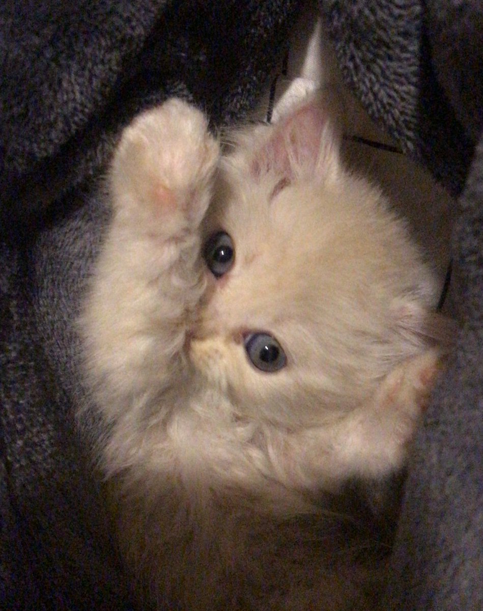 Pink127_'s tweet image. عشوائيات يناير 🤎