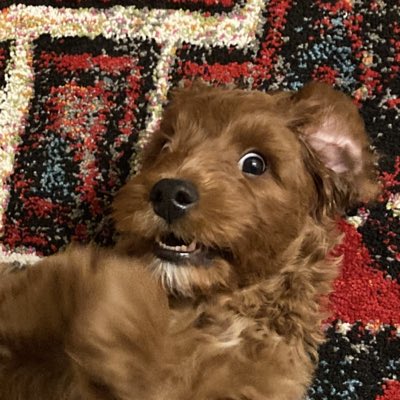 JrPade's tweet image. #NewProfilePic