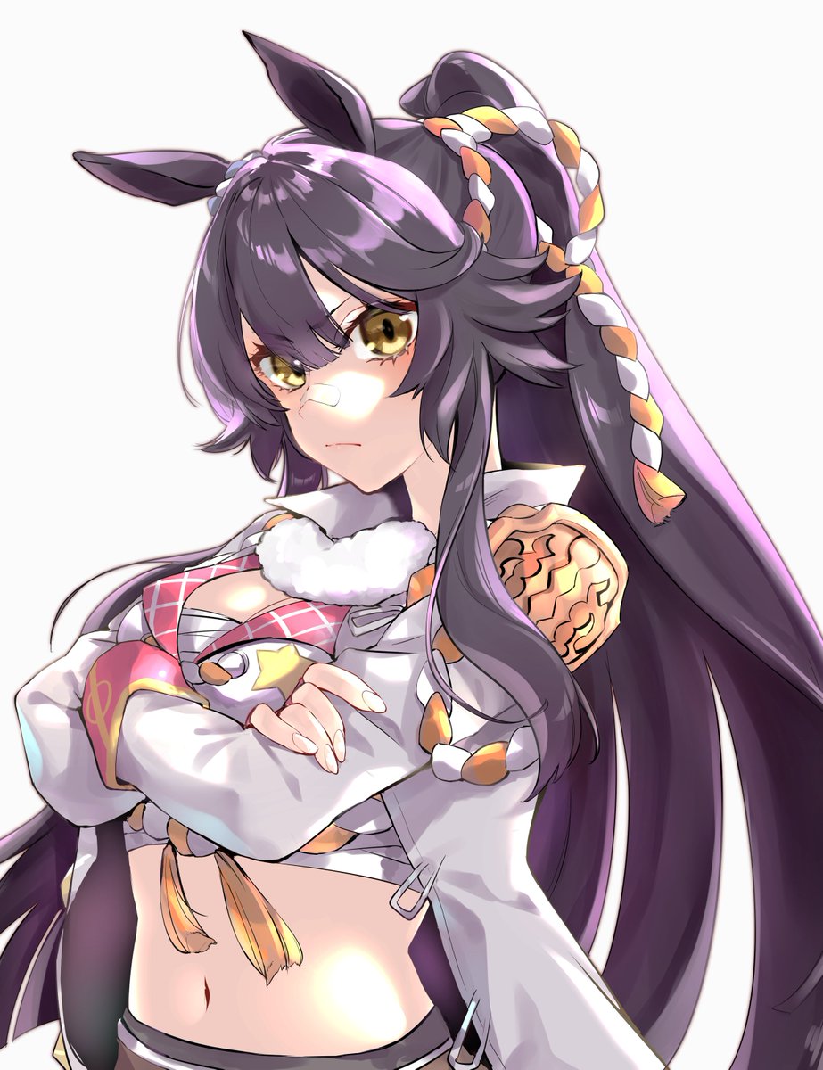 ナリタブライアン(ウマ娘) 「ナリタブライアンとビワハヤヒデの勝利ポーズが背中合わせになるの大好き #ウマ娘 」|マッペのイラスト