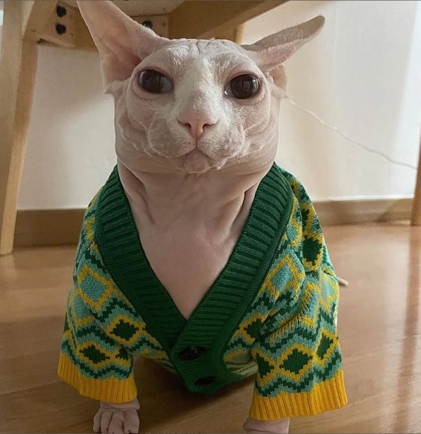 AIBC's tweet photo. Y de repente me dieron unas ganas bárbaras de regalarle un sweater verde a @Mr_Bugman
#Bugato https://t.co/BIxXoaIz6E